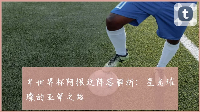 年世界杯阿根廷阵容解析：星光璀璨的亚军之路
