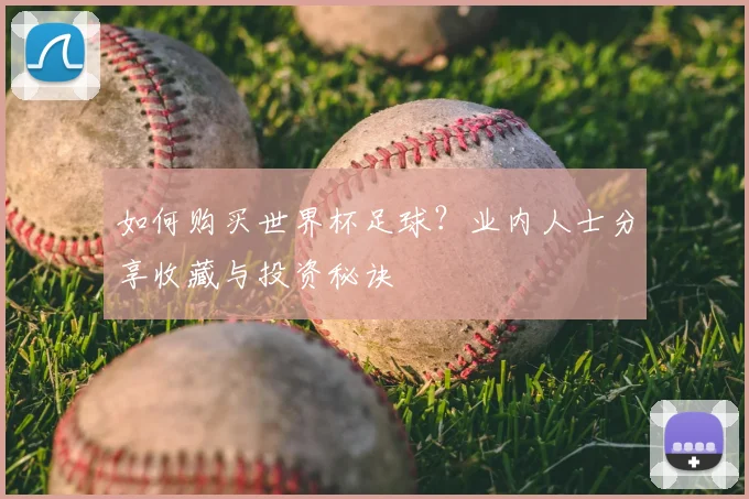 如何购买世界杯足球?业内人士分享收藏与投资秘诀