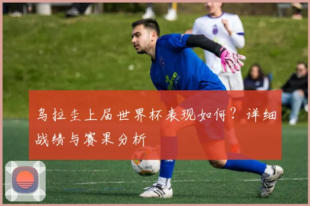 乌拉圭上届世界杯表现如何？详细战绩与赛果分析