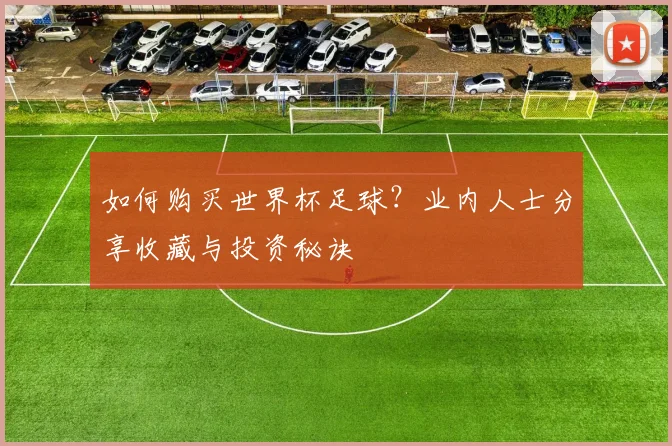 如何购买世界杯足球?业内人士分享收藏与投资秘诀