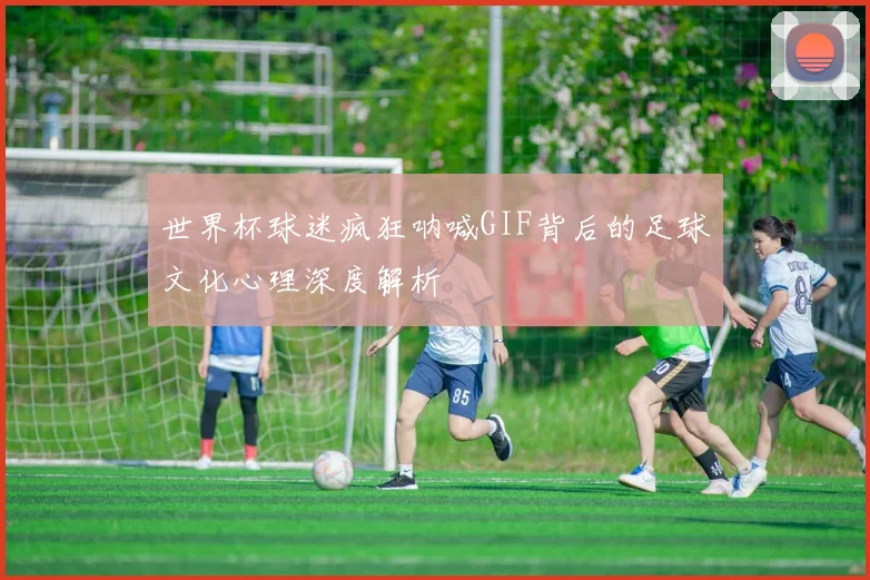 世界杯球迷疯狂呐喊GIF背后的足球文化心理深度解析