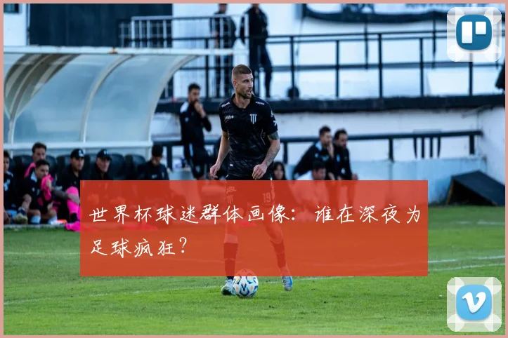 世界杯球迷群体画像:谁在深夜为足球疯狂?